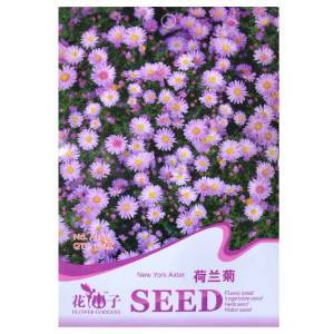 津沽園藝 荷蘭菊 柳葉菊種子 花卉種子 花籽 盆栽種植 陽臺種植 5包 【津沽園藝】 價格 報價 圖片 - 亞馬遜中國