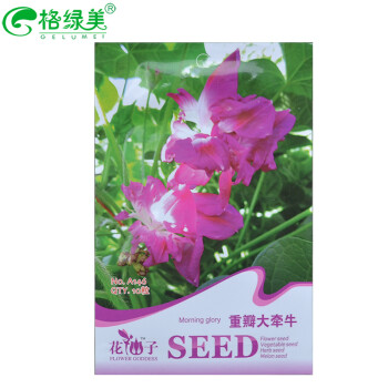 牽?；?8種品種類型選擇 花卉種子陽臺盆栽園藝休閑產品 精美彩色包裝 7.重瓣大牽牛 約10粒