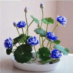 一品好特惠,專注于收集拼多多優(yōu)質(zhì)商品,拼多多內(nèi)部?jī)?yōu)惠券