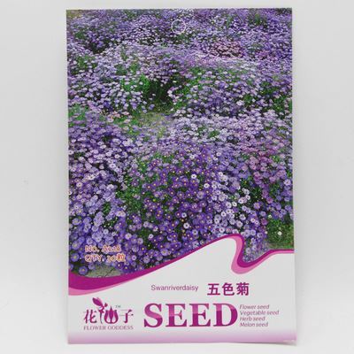 草花彩袋種子 彩包花卉種子【五色菊】陽臺庭院種植 盆栽 家庭實用裝 約30粒-宿遷市國豪園林工程提供草花彩袋種子 彩包花卉種子【五色菊】陽臺庭院種植 盆栽 家庭實用裝 約30粒的相關介紹、產品、服務、圖片、價格宿遷市國豪園林工程、種苗、花卉種子、園藝用具、盆栽、綠化苗木