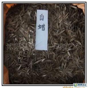 博雅花卉批發白蠟種子,歡迎訂購。_農副產品_世界工廠網中國產品信息庫