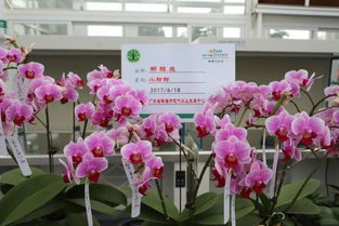 7000多個優新品種集中展出 廣東種博會開幕 你來現場了嗎