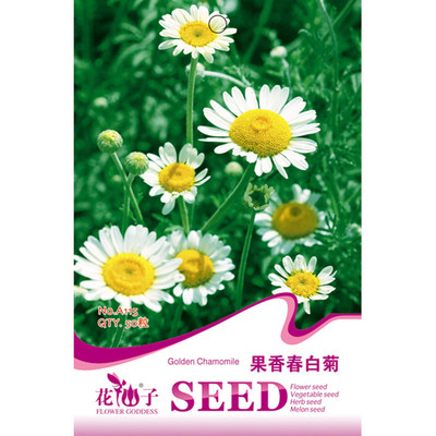 我要發(fā)芽 花卉種子 果香春白菊種子 紫錐花 菊花 盆栽 50粒/包 我要發(fā)芽園藝用品 【價(jià)格 圖片 品牌 報(bào)價(jià)】-蘇寧易購(gòu)