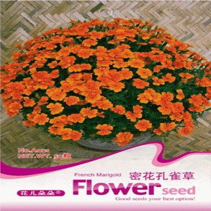 【臭草種子】臭草種子價格/圖片_臭草種子批發(fā)/采購_臭草種子廠家/供應商