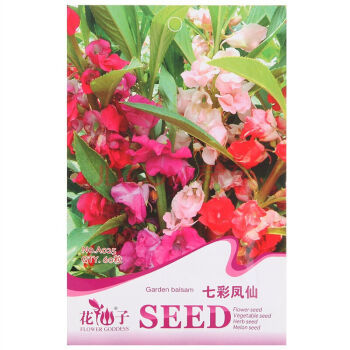 花景天 家庭種植花卉種子 家庭陽(yáng)臺(tái) 園藝休閑 花卉種子.七彩鳳仙【圖片 價(jià)格 品牌 報(bào)價(jià)】-京東