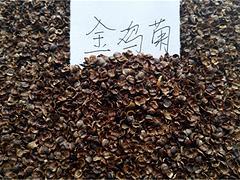 供應(yīng)宿根花卉種子|優(yōu)質(zhì)金雞菊種子上哪買-青州市文霖花卉苗木種植專業(yè)合作社提供供應(yīng)宿根花卉種子|優(yōu)質(zhì)金雞菊種子上哪買的相關(guān)介紹、產(chǎn)品、服務(wù)、圖片、價格金葉女貞、綠化草花種植基地、宿根花卉種植基地、草花種植基地、苗木種植基地、宿根花卉基地、