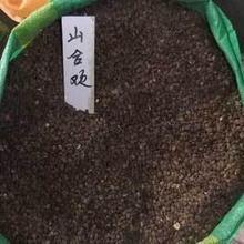 【合歡花種子】最新最全合歡花種子 產品參考信息