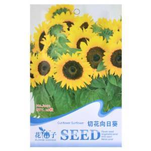 津沽園藝 切花向日葵種子5包 花卉種子 花籽 花種子 盆栽 耐旱易活 【津沽園藝】 價(jià)格 報(bào)價(jià) 圖片 - 亞馬遜中國