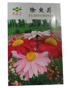 錦萱 除蟲菊種子 家庭種植實用裝 陽臺室內盆栽花卉種子 庭院花種子 【錦萱】 價格 報價 圖片