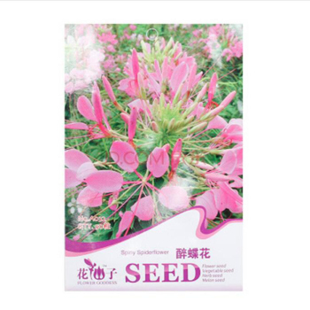 花種 花卉種子 庭院陽(yáng)臺(tái)室內(nèi)盆栽易種 滿天星 瓜葉菊 美女櫻彩包 醉蝶花【圖片 價(jià)格 品牌 報(bào)價(jià)】-京東