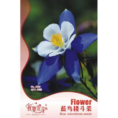 【我要發(fā)芽園藝休閑旗艦店】我要發(fā)芽 花卉種子 藍鳥耬斗菜種子 藍漏斗菜 夜鶯 漏斗菜 適宜作花壇 花境 盆栽及切花 55粒/包 -蘇寧易購