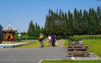 四個休閑農業案例分析,看清規劃細節上的成功!_旅游_網