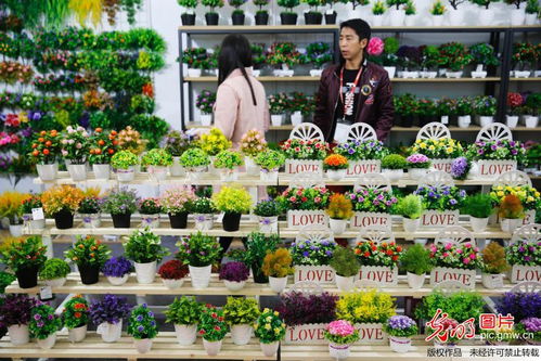 第53屆全國工藝品交易會(huì) 數(shù)百種仿真花卉引醉客商